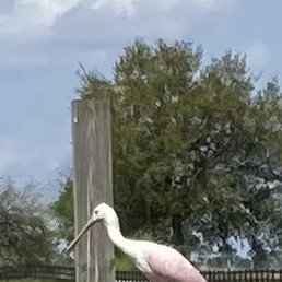 Grounds Grounds
