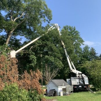 Marty- Parker’s Tree Service - Tree Services Near Me Marty- Parker’s Tree Service - Tree Services Near Me