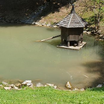 Fürstenlager - Teich - Cafes Near Me - Bensheim, HE