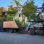 Photo of Flannerys Tree Service