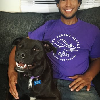 Pet Parent Allies - Pet Training Near Me Pet Parent Allies - Pet Training Near Me