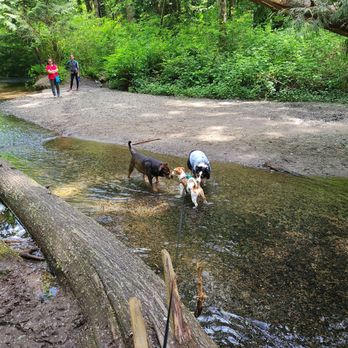 Eagle Scout Park - Parks Near Me - Lake Forest Park, Washington Eagle Scout Park - Parks Near Me - Lake Forest Park, Washington