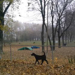 Murphy Memorial Dog Park - Large fenced-in area; one of three.