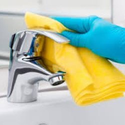 Bright's Expert Clean