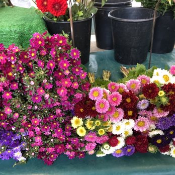 Marché de Grenelle - Farmers Market Near Me - Paris, 75