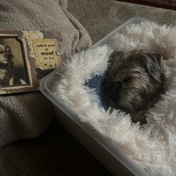 Penny after she crossed the  bridge
