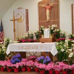 National Floral Design - St Francis Cabrini, a local Church which we decorated the Alter for Easter.