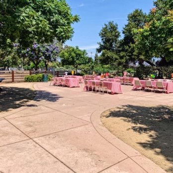 Elegance Event Planner - Party & Event Planning Near Me - San Jose, California