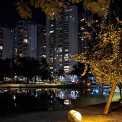 Parque Flamboyant
