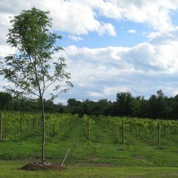 Shelburne Vineyard - Venues & Event Spaces Near Me - Shelburne, Vermont Shelburne Vineyard - Venues & Event Spaces Near Me - Shelburne, Vermont