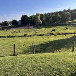 Green pastures