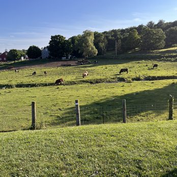 Rota Spring Farm - Green pastures - Ice Cream & Frozen Yogurt Near Me - Sterling, Massachusetts