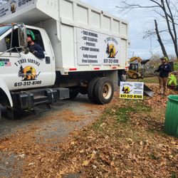 T Tree Service