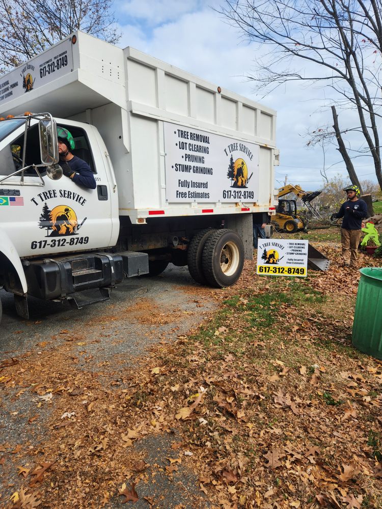 T Tree Service - tree service in Whitman, MA