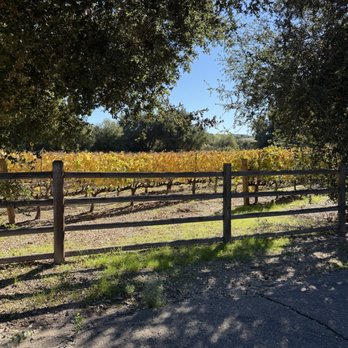 Andrew Murray Vineyards - Wineries Near Me - Los Olivos, California Andrew Murray Vineyards - Wineries Near Me - Los Olivos, California
