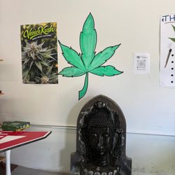Venice Kush - Fountain inside venice kush store on the boardwalk.