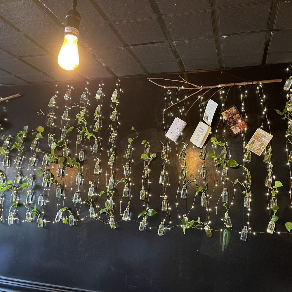 First Sip Cafe - A wall of plant cuttings! - Coffee & Tea Near Me - Chicago, Illinois First Sip Cafe - A wall of plant cuttings! - Coffee & Tea Near Me - Chicago, Illinois
