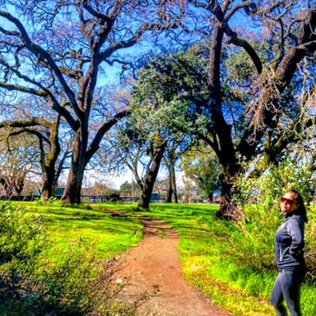Skyline Wilderness Park - Parks Near Me - Napa, California Skyline Wilderness Park - Parks Near Me - Napa, California