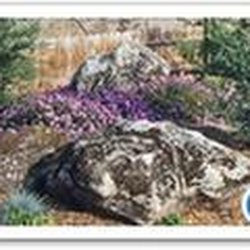 Evergreen Landscape Service