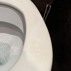 Balthasar Neumann Speiserei - Dirty toilet seat