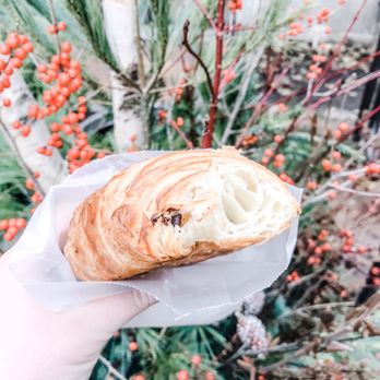 Standard Baking - @sarah.with.an.h87 Chocolate croissant - Bakeries Near Me - Portland, Maine