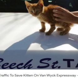 Beech Street Taxi