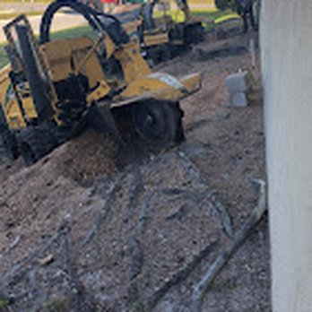 Central Florida Stump Grinding - Tree Services Near Me Central Florida Stump Grinding - Tree Services Near Me