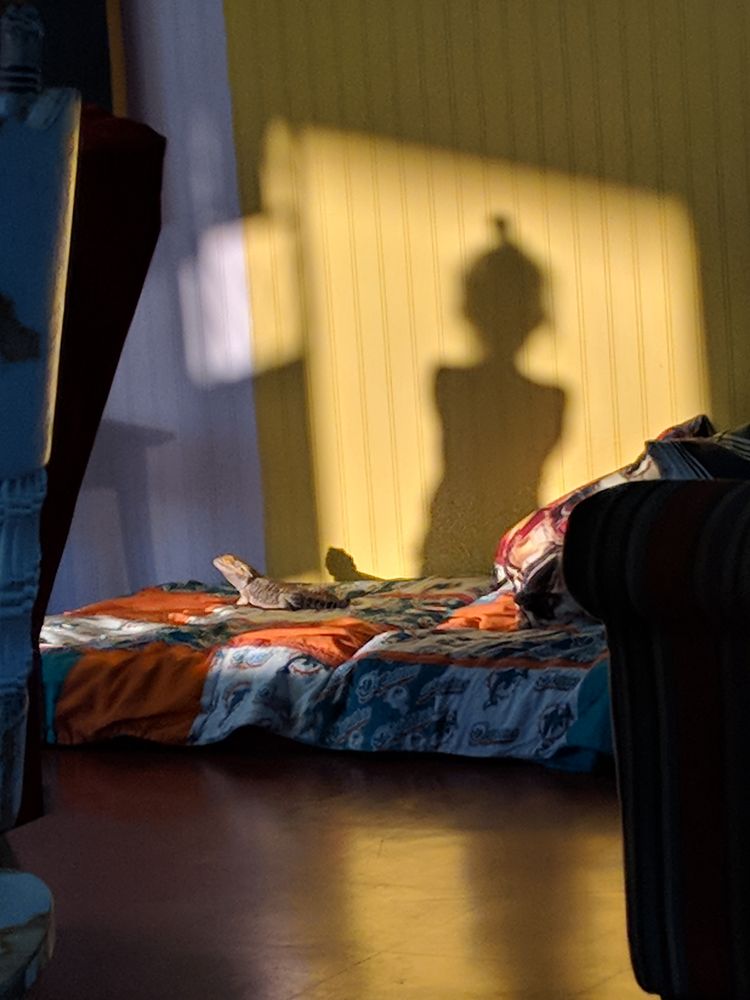 Happy Earth Market - grief counselor in Henderson, NV