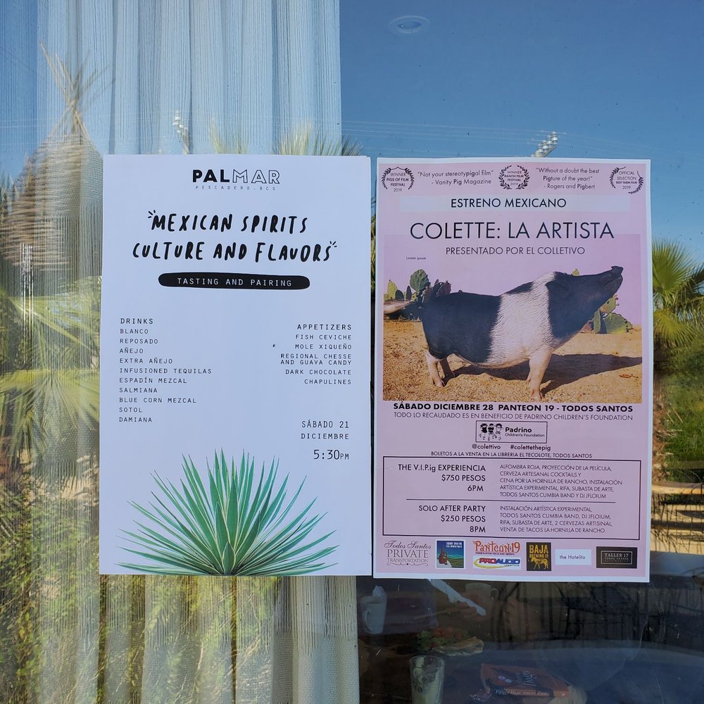Palmar - Bed & Breakfast Near Me - El Pescadero, BCS
