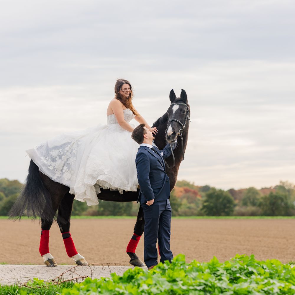 Interiors 1955-12: Vol 115 Iss 5, image size:1000x1000