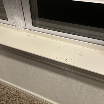 Mallard Crossing - Termites - Apartments Near Me - Loveland, Ohio