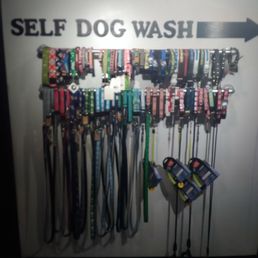 Get a new leash on life