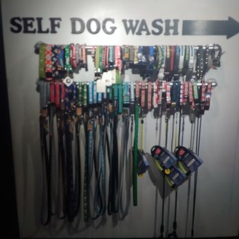 Salon Dog - Get a new leash on life - Pet Groomers Near Me - Chicago, Illinois