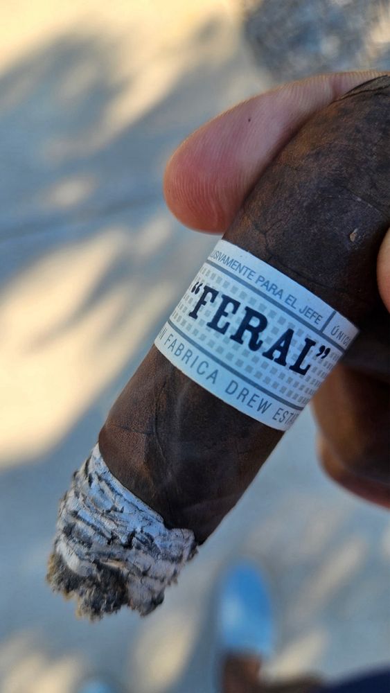 Cigars Daily Logo