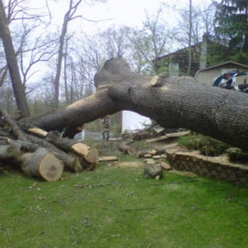 Adirondack Tree Specialists - Adirondack Tree Specialists, Call Us Today (973) 694-0207 - Tree Services Near Me - Wayne, New Jersey
