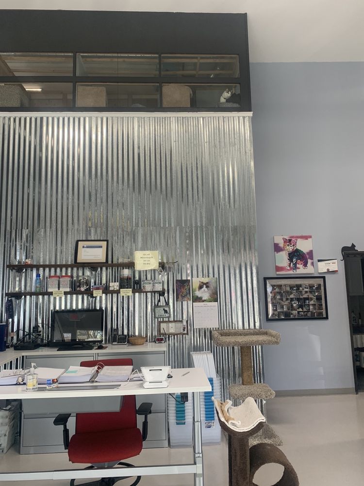 KITTY CAT CONDOS with 35 real customer photos Updated August 2024