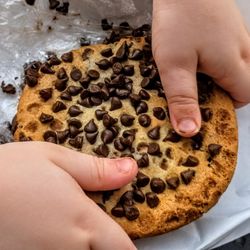 Chocolate Chip Cookie at South Bend Chocolate Cafe