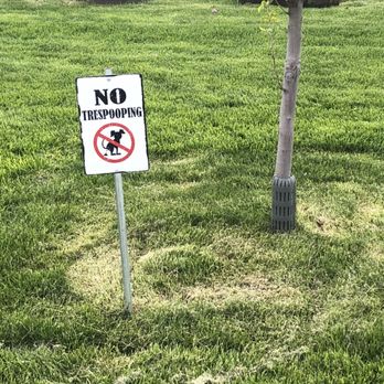 Columbia Sun Rv Resort - There's a sign! Don't poop near entrance :) - Campgrounds Near Me - Kennewick, Washington Columbia Sun Rv Resort - There's a sign! Don't poop near entrance :) - Campgrounds Near Me - Kennewick, Washington
