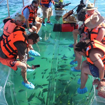 Envatours - Tours Near Me - Cabo San Lucas, BCS Envatours - Tours Near Me - Cabo San Lucas, BCS