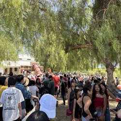 Three Nunns Farm - Sea of people