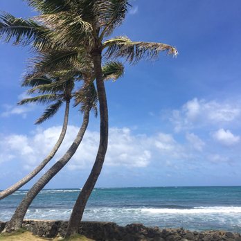 Oahu Nature Tours - One of the fabulous beaches - Tours Near Me - Honolulu, Hawaii Oahu Nature Tours - One of the fabulous beaches - Tours Near Me - Honolulu, Hawaii