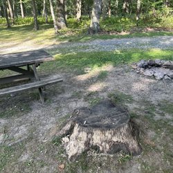 Sand Springs Campground - Our campsite! Beautiful stone firepit