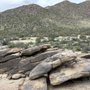 Photo of Wild Burro Trailhead