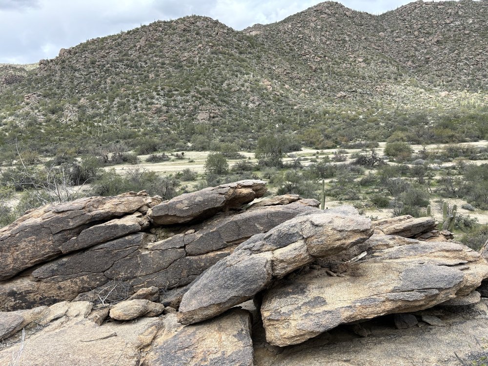 Wild Burro Trailhead Logo