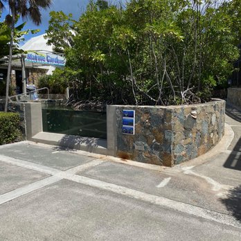 Coral World Ocean Park - Aquariums Near Me - St Thomas, Virgin Islands