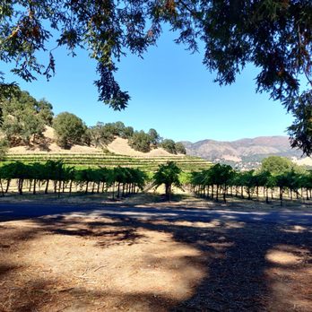 Nelson Family Vineyards - Wineries Near Me - Ukiah, California Nelson Family Vineyards - Wineries Near Me - Ukiah, California