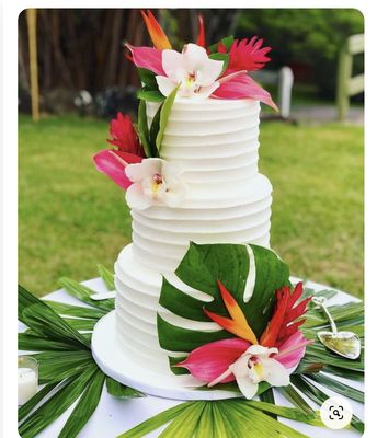 Violet Cake Co. by null