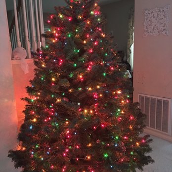 North Pole Christmas Tree - Christmas Trees Near Me - La Mesa, California North Pole Christmas Tree - Christmas Trees Near Me - La Mesa, California