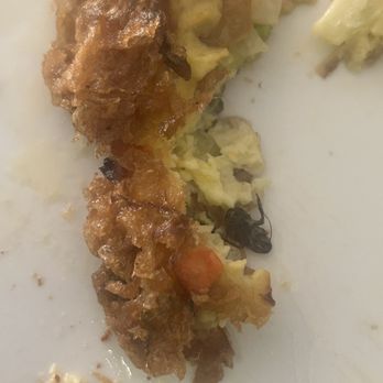 Hula Inn Chinese Restaurant - The picture of the roach inside My Daughter's egg foo young - Chinese Near Me - Sterling, Virginia Hula Inn Chinese Restaurant - The picture of the roach inside My Daughter's egg foo young - Chinese Near Me - Sterling, Virginia