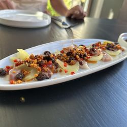 Redcan - Hamachi
